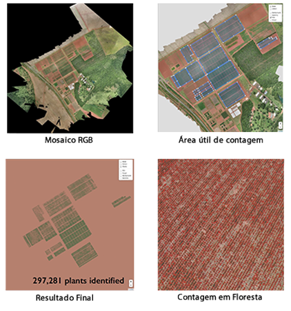 Crop Health Indexes